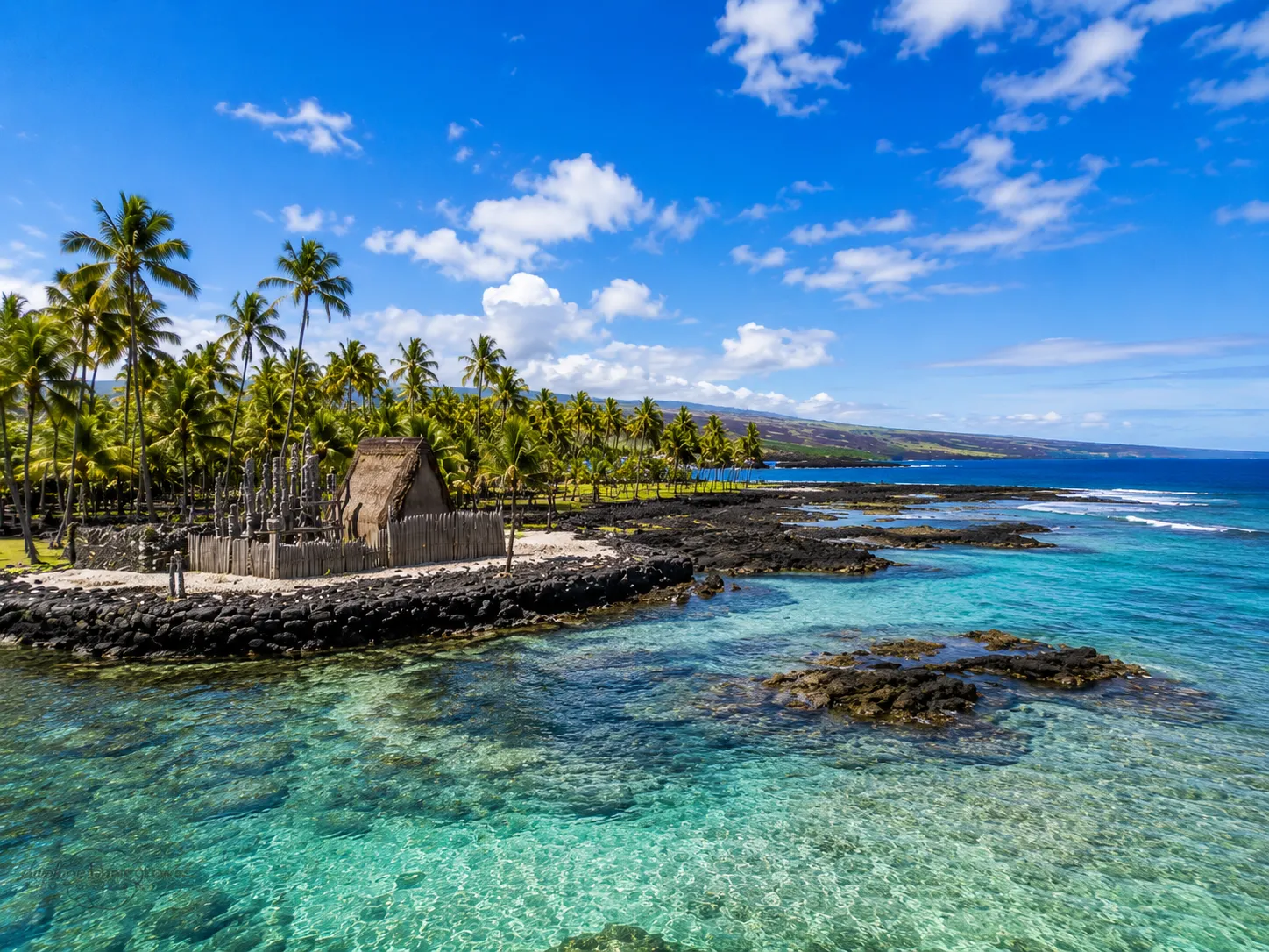 A traditional Hawaiian hale surrounded by palm trees on the Big Island's lava rock coastline, clear water nearby