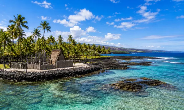 A traditional Hawaiian hale surrounded by palm trees on the Big Island's lava rock coastline, clear water nearby