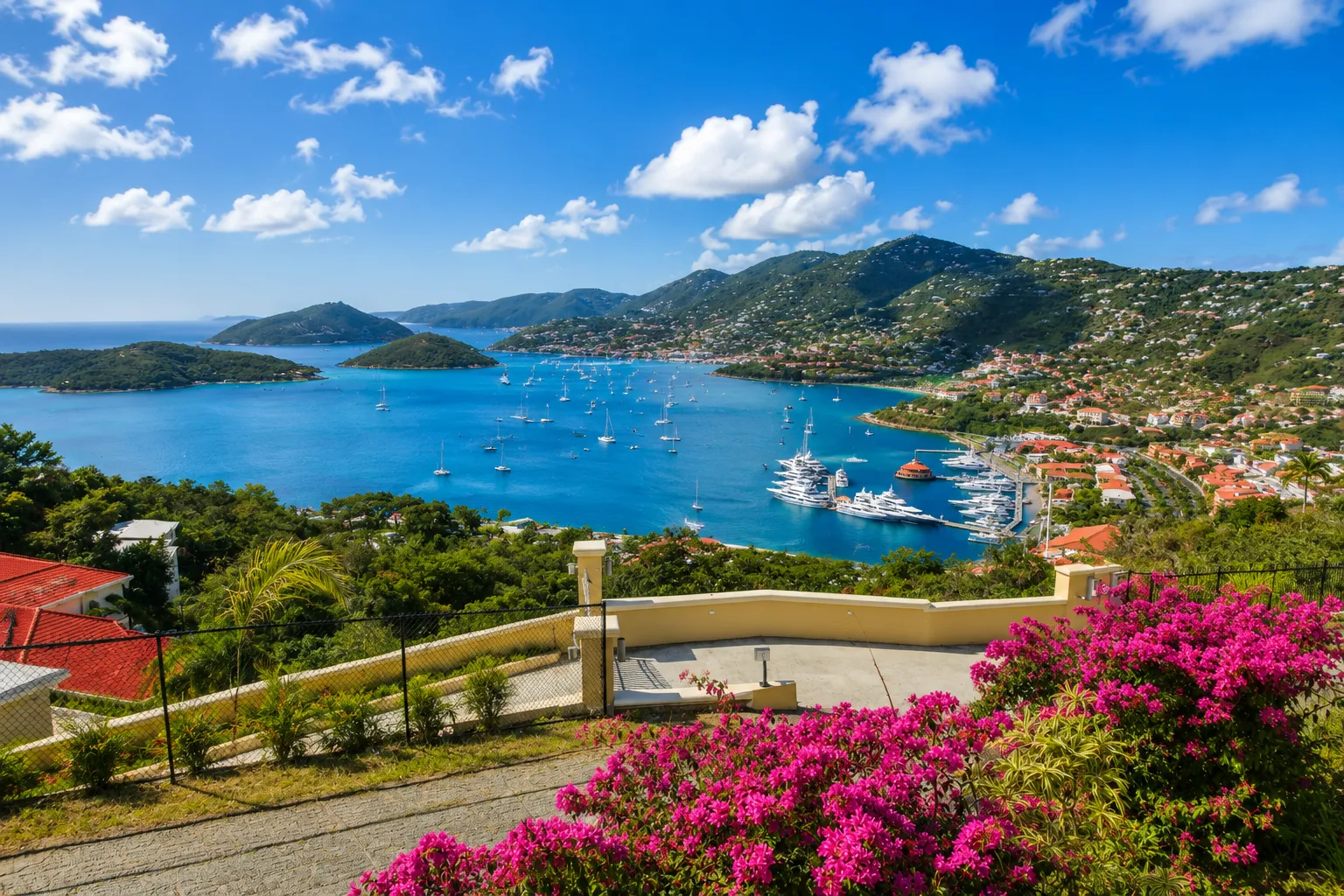 An elevated view of Charlotte Amalie harbor, St. Thomas, with anchored boats, hillside homes, and tropical flowers