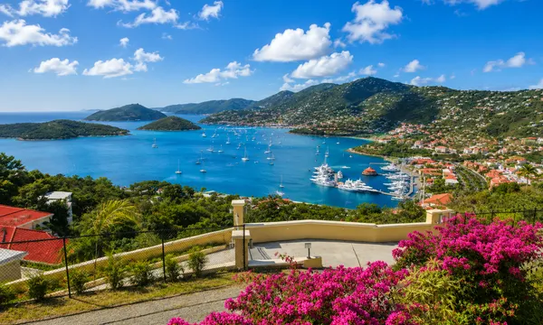 An elevated view of Charlotte Amalie harbor, St. Thomas, with anchored boats, hillside homes, and tropical flowers