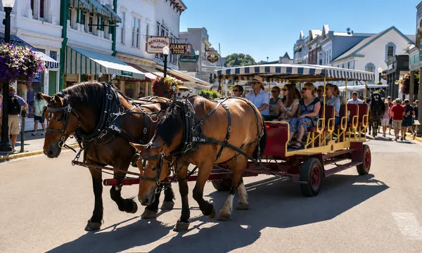 A horse-drawn carriage carrying visitors down Mackinac Island's Main Street, past shops and hanging flower baskets